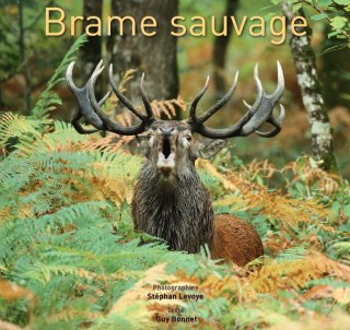 Brame sauvage